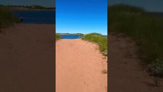 Walking onto a beach in Canada