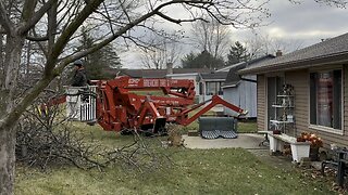 Crane used for cutting Trees