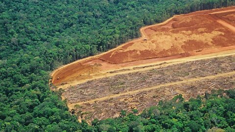 ¿Por qué Occidente debe preservar Amazonía?, responde experto