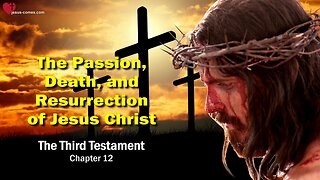 My Passion, My Death & My Resurrection ❤️ Jesus Christ reveals The Third Testament Chapter 12