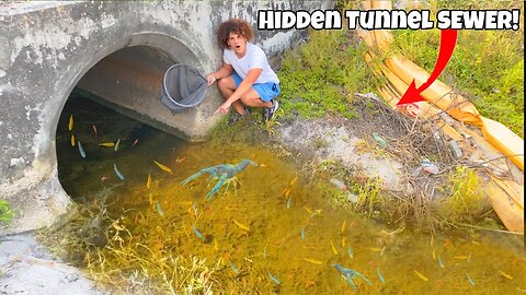 I Caught AQUARIUM FISH In HIDDEN TUNNEL Sewer!