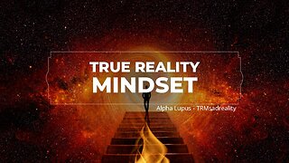 ( TRM ) - Mindset TRMsadreality