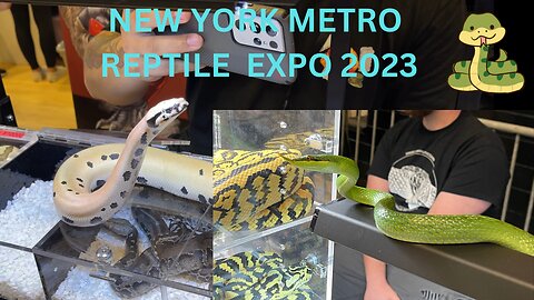 White Plains, NY, New York Metro Reptile Expo, 2023