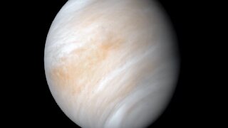 Possible Signs of Life Found On Venus