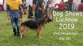 Dog Shows Lucknow 2019 || 2nd November || Part 1