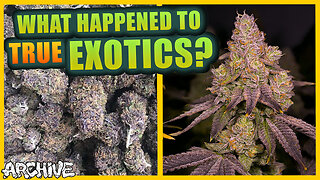 The Death of True Cannabis "Exotics"