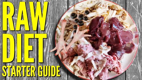 RAW Diet Starter Guide - Cane Corso on RAW