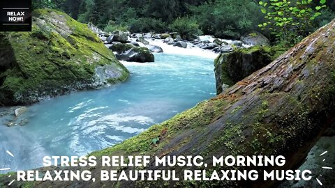 RELAX NOW! Stress Relief Music, Morning Relaxing, Beautiful Relaxing Music