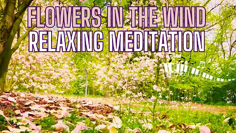 Flowers In The Wind Relaxing Meditation #peace #piano #instrumental #432hz #nature #relaxationmusic