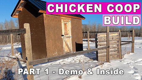 Chicken Coop & Run Build Part 1 - Old Run Demolition & Inside Coop