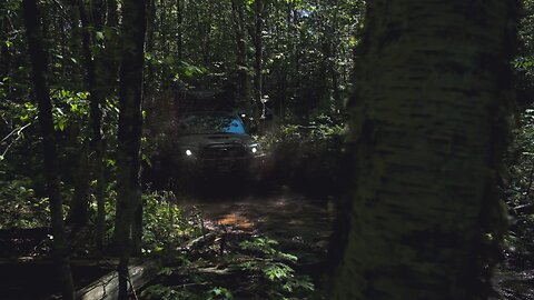 Splash in the Woods - Nova Scotia