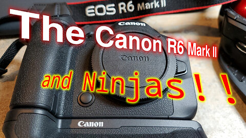 The Canon EOS R6 Mark II and Ninjas | DaVinci Resolve 18