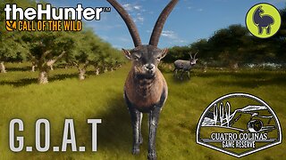 G.O.A.T, Cuatro Colinas | theHunter: Call of the Wild (PS5 4K)