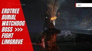 Elden Ring - Erdtree Burial Watchdog Boss fight, loots (Limgrave)