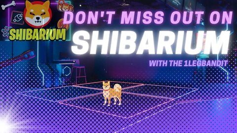 Shibarium is a Once in a Lifetime Opportunity!