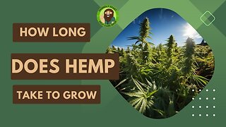 How long do hemp plants take to fully grow and become useful?