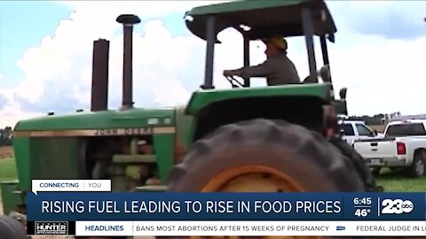 Rising agriculture fuel prices may lead to more higher food costs