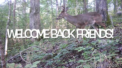 Trail Camera Video of Wildlife in Middle Tennessee 30