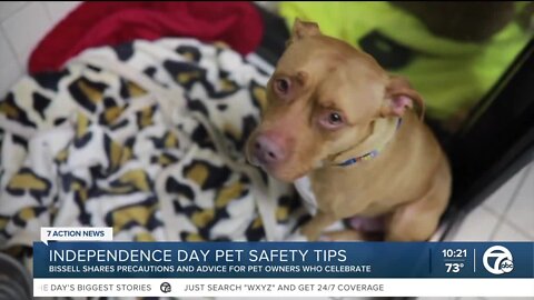 Holiday Pet Safety Tips