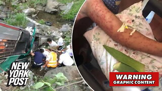 Six people killed by bees after bus plummets into ravine and hits hives