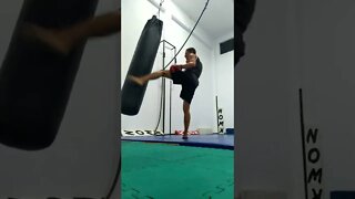 Kick And Punch The Bag (13)