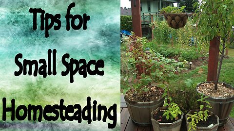 Small Space Homesteading
