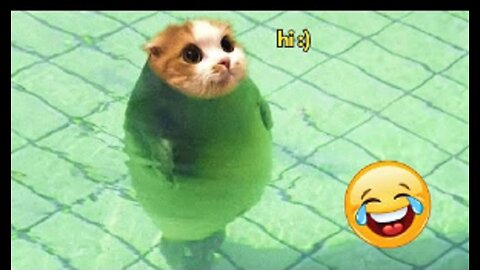 Funniest Animal Videos 2023😅 Best Funny Cats & Dogs Videos