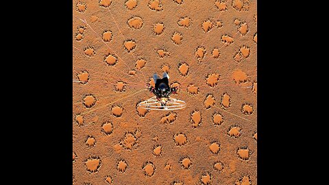 Círculos de las Hadas, Namibia (14)