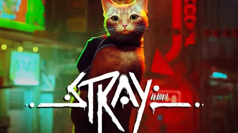 Stray for the first time!