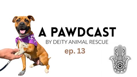 A Pawdcast Ep. 13 I Inside Deity Animal Rescue