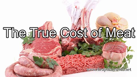 The True Cost of Meat