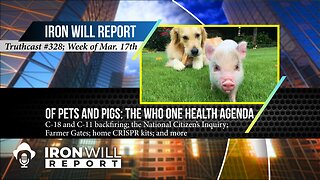 IWR Weekly News | Of Pets and Pigs: The WHO One Health Agenda