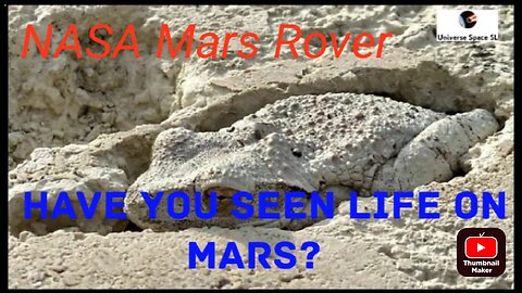 Did NASA's Perseverance rover capture life on Mars?
