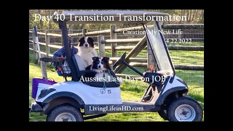 Day 40 Transition Transformation Creation My New Life 4.22.2022