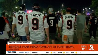 Bengals fans leave LA following the team's heartbreaking Super Bowl loss