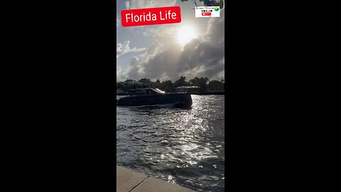 Florida Life 🚤🌴 #floridalife #Florida #fortlauderdale #miami #boat #yacht #beach #miamibeach