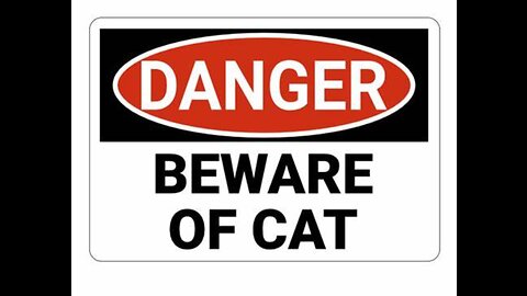 danger cat video. #short #video #shorts #cat #bgmi #reels #fune #rg #roblox