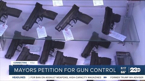 Hundreds of Mayors petition for gun control