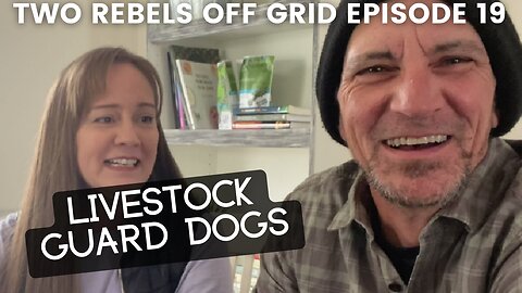 Choosing A Homestead LGD | Let’s Talk About Animals | Episode 19 #offgrid #LGD #homestead