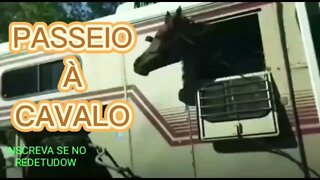 ZAP ZAP : PASSEIO À CAVALO