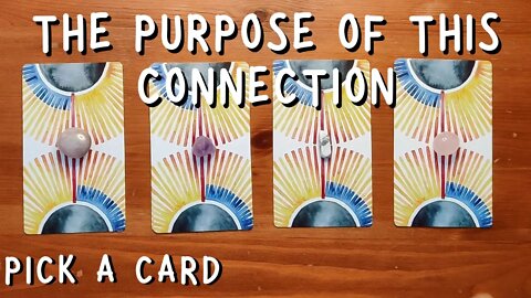 What is the PURPOSE of this Connection? || General PICK A CARD Tarot reading (Timeless)