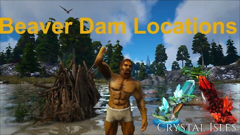 Beaver Dams And Beaver Locations l Official Crystal Isles