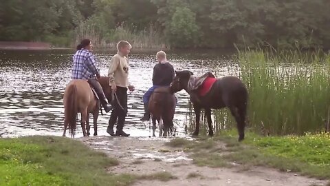 Three ponies grazing by the water, hitting the water, splashing, eating green grass