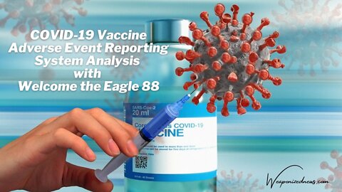 COVID-19 Vaccine Adverse Event Reporting System Analysis with Welcome the Eagle 88