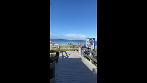 Livestream Replay - Crabs And Dolphins Oh My At Little Hickory Beach Before Ian