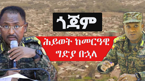 ከጎጃሟ መርዓዊ የሚሰማው አስደንጋጭ የሕዝብ ድምጽ | ፋኖ vs መከላከያ | The Ethiopia | Zehabesha