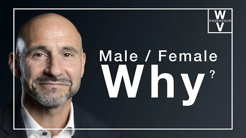Why Male & Female?