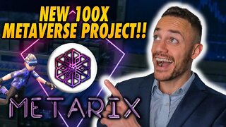The Metarix Metaverse Has Major Potential! MTRX Token Info!