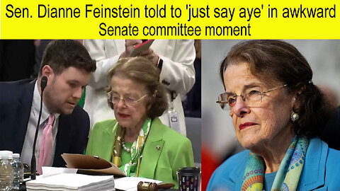 Dianne Feminist told to just say aye in awkward Senate committee moment | Dianne Feminist