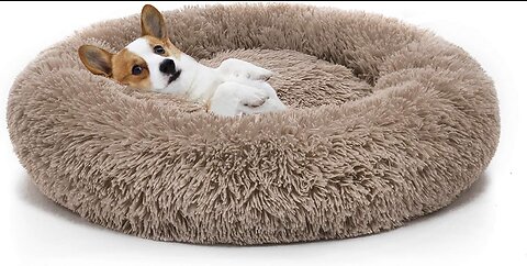 MIXJOY Orthopedic Dog Bed Comfortable Donut Cuddler Round Dog Bed Ultra Soft Washable Dog and C...
